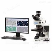 奥林巴斯金相显微镜多少钱