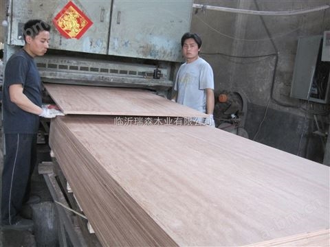 E0级20mm克隆木多层板胶合板夹板门板家具板